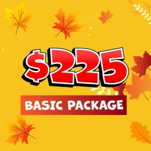 Baton Rouge Fall Craft & Vendor Market General Vendor Package $200