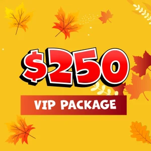 Baton Rouge Fall Craft & Vendor Market VIP Vendor Package $225