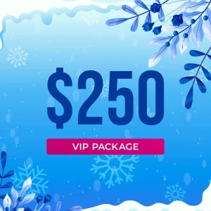 Baton Rouge Winter Wonderland Craft & Vendor Market VIP Vendor Package $225
